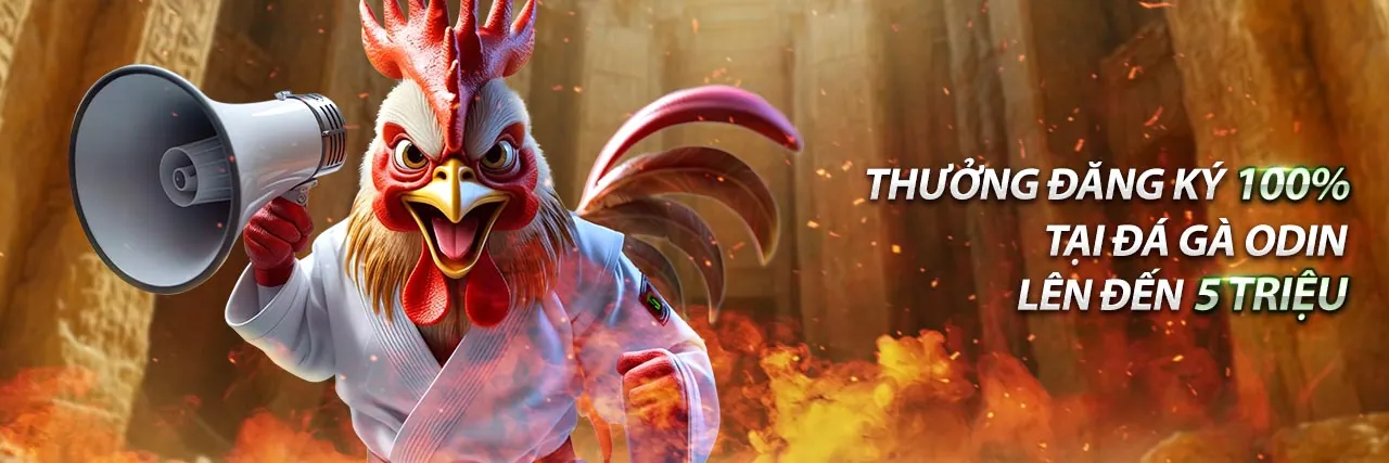 Chính Sách Bảo Mật FIV88 Code